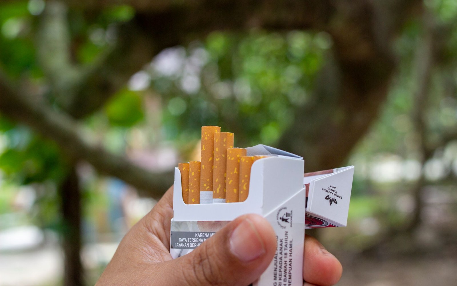 A hand holds an open pack of cigarettes with an Indonesian-language health warning outdoors